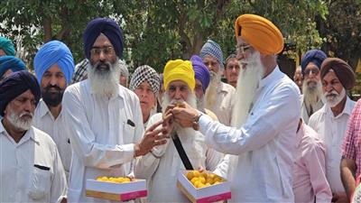 ਕੈਨੇਡਾ ਚੋਣਾਂ ਜਿੱਤਣ ਵਾਲੇ 22 ਪੰਜਾਬੀਆਂ ’ਚੋਂ 3 ਜਗਰਾਓਂ ਤੇ ਰਾਏਕੋਟ ਤੋਂ, ਛੇਵੀਂ ਵਾਰ ਐੱਮਪੀ ਬਣੇ ਸੁੱਖ ਧਾਲੀਵਾਲ ਦੇ ਪਿੰਡ ਵਿਆਹ ਵਰਗਾ ਮਾਹੌਲ