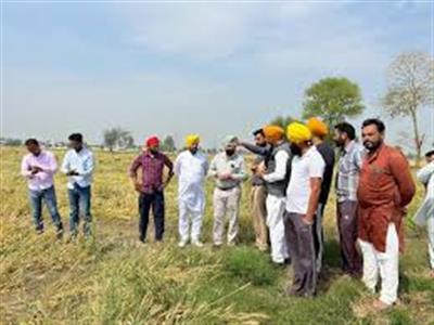 ਗੁਰਦਾਸਪੁਰ ਵਿੱਚ ਹੜਾਂ ਕਾਰਨ ਫਸਲਾਂ ਦਾ ਖਰਾਬਾ, ਸਰਵੇ ਸ਼ੁਰੂ