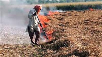 Punjab sees surge in stubble burning: 353 cases reported so far, Tarn Taran and Amritsar top the list