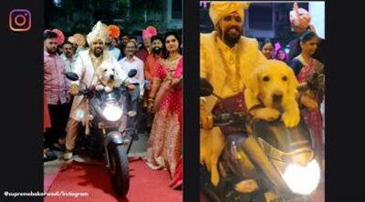 Groom arrives with pet dog on a bike, netizens call it ‘best wedding entry ever’